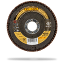 RHODIUS LGZ F2 Fächerschleifscheibe